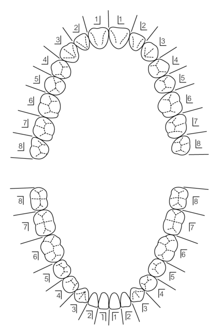 l01-5-1.jpg