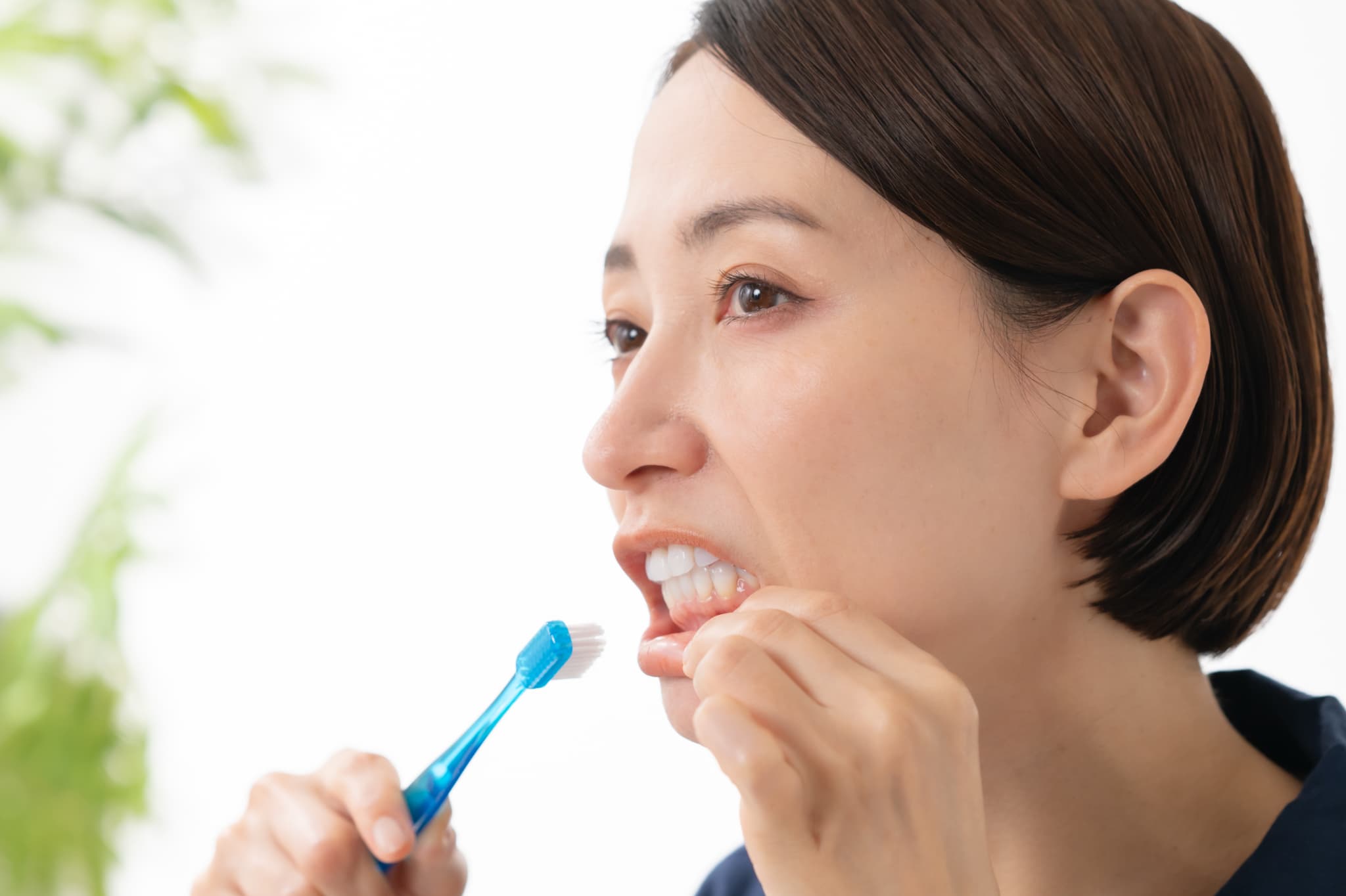 ブリッジ周辺のブラッシングを徹底する女性